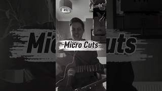Micro Cuts - Muse (acoustic cover)