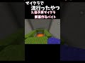 マイクラで流行った奴【マインクラフト】
