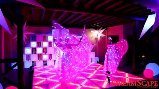 Firestarter Vodka Presentation by DreamScape Events: Overview