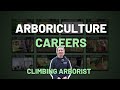 Arborists careers in arboriculture