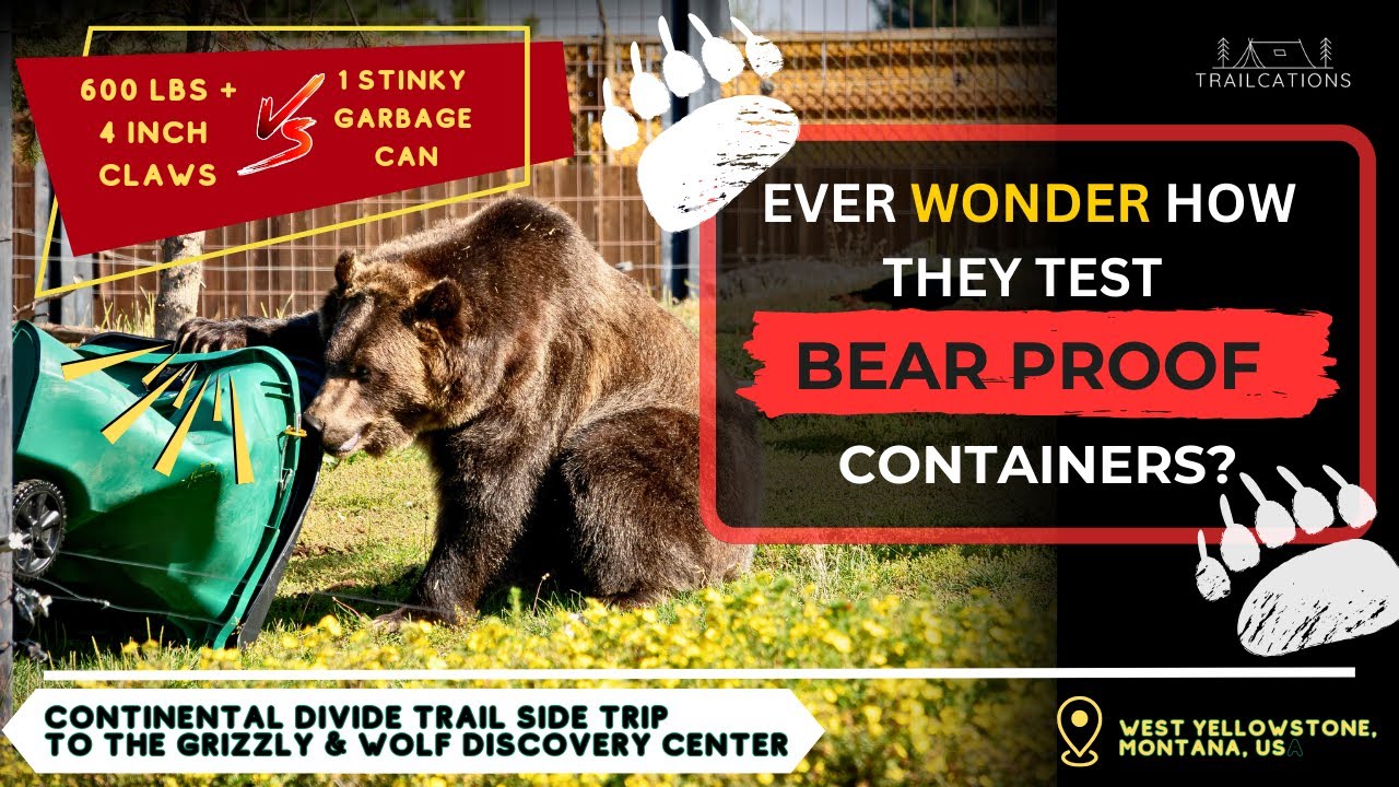 Ever Wonder How They Test Bear Proof Containers? CDT Side Trip to the
