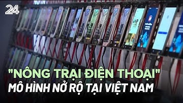 Nở rộ mô hình "nông trại điện thoại" tại Việt Nam | VTV24