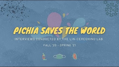 Pichia Saves the World
