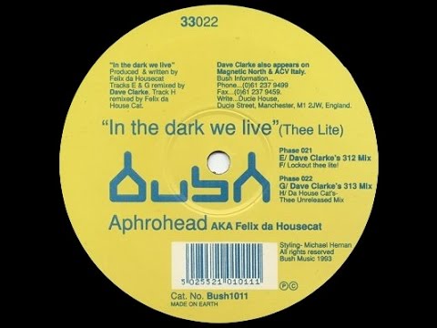 In The Dark We Live (Thee Lite) artwork