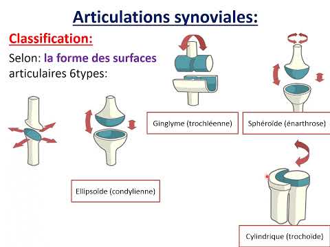 Vidéo: Dans la symphyse, les surfaces articulaires des os sont recouvertes de ?