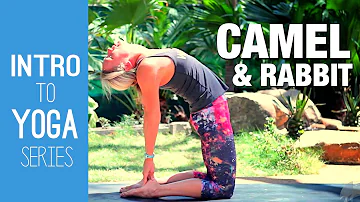 Camel & Rabbit Yoga Tutorial - Intro to Yoga Series - Five Parks Yoga