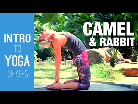 Camel & Rabbit Yoga Tutorial - Intro to Yoga Series, a free yoga class with Erin Sampson
