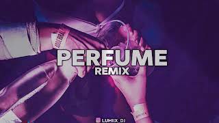 PERFUME REMIX - DALEX ❌ SECH ❌ JUSTIN QUILES ❌ LUMIIX DJ [FIESTERO REMIX]
