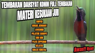 MASTERAN BURUNG KOLIBRI GACOR FULL MATERI ISIAN MEWAH TAJAM NYARING COCOK BUAT MATERI KONIN LOMBA