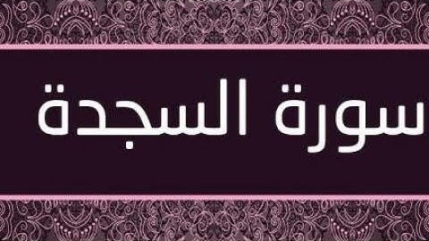 سورة السجدة كاملة بصوت القارئ أسامة رشيد ، صوت رائع و جودة عالية