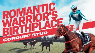 The Birthplace Of The Romantic Warrior