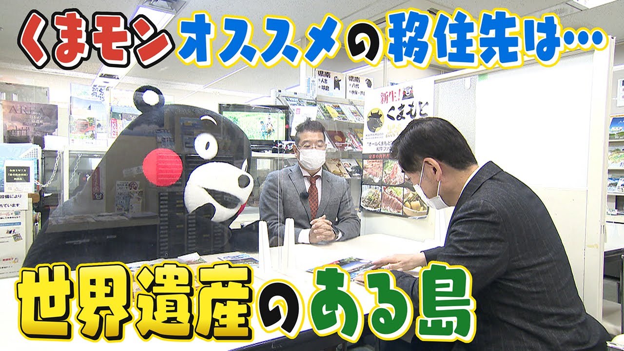 【移住】くまもんがオススメする世界遺産がある島•天草　イルカウォッチング＆ちゃんぽんなど魅力いっぱい【熊本】