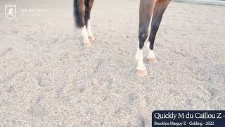 Quickly M du Caillou