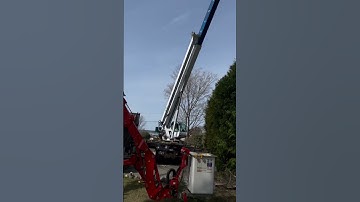 Crane Work- Tree Removal