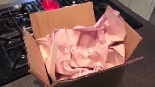 Allysian Sciences - First Order Unboxing and Review (Founder - Apolo Ohno)