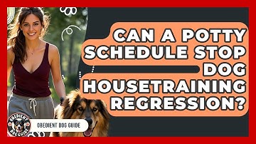 Can A Potty Schedule Stop Dog Housetraining Regression? - Obedient Dog Guide