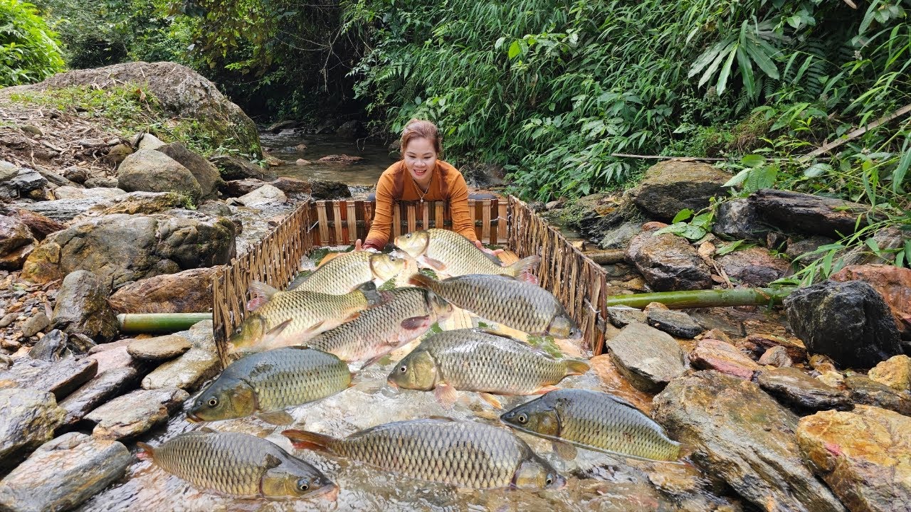 The girl designed a fish trap from bamboo herself and caught a lot of ...