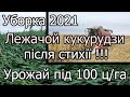 Уборка 2021 Лежачой кукурудзи після стихії !!! Урожай під 100 ц/Га Як це зробити