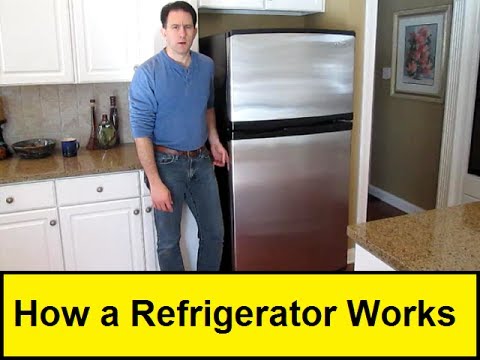 How a Refrigerator Works (HowToLou.com) - YouTube