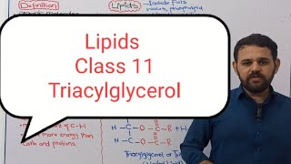 Lipids Part 1 | Class 11 | Biological molecules | Federal board | KPK Board | Chapter 2 | NBF