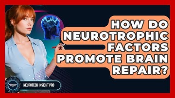 How Do Neurotrophic Factors Promote Brain Repair? - Neurotech Insight Pro