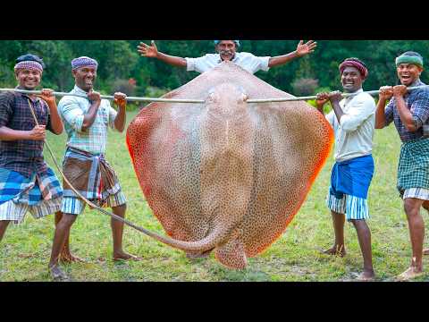 200 Pounds BIG STINGRAY Cutting Eating in Village Village Fish Curry Recipe Tasty Fish Fry