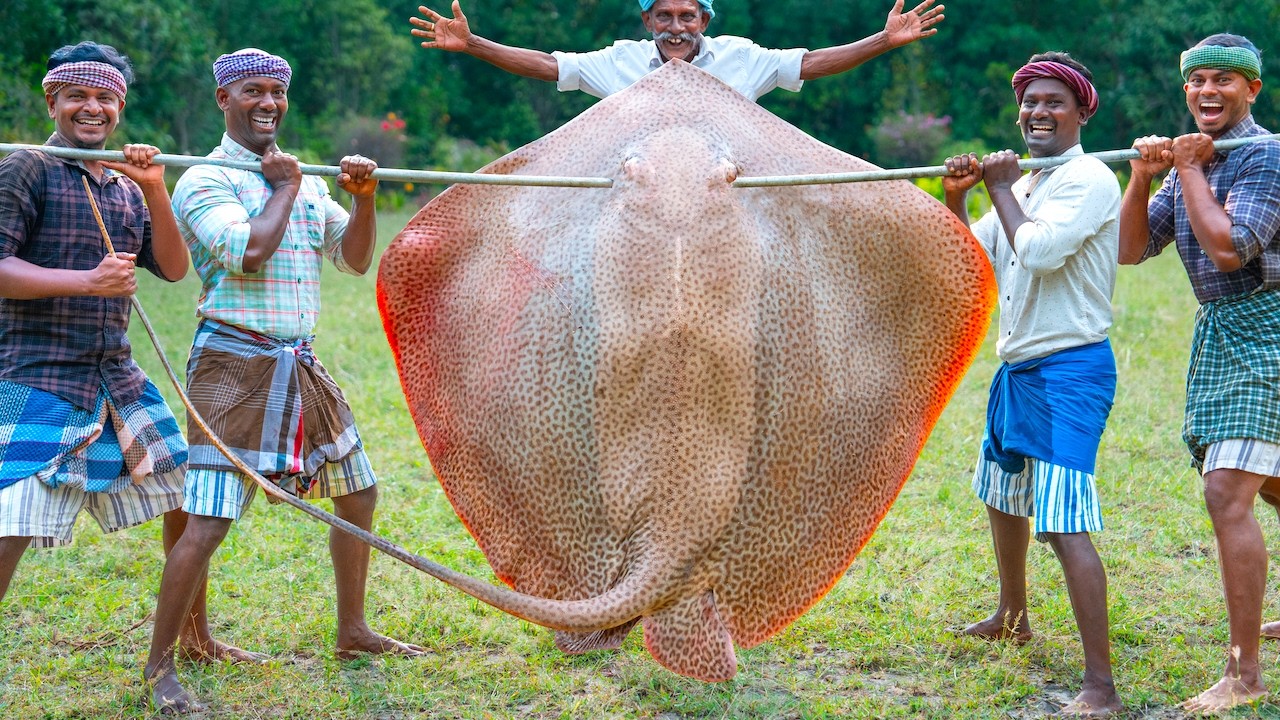 200-Pound Stingray: Village Fish Curry Recipe & Delicious Fish Fry!