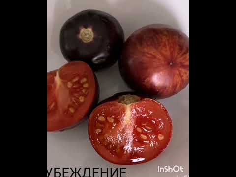 Каталог томатов от Петровны на 2024г 1 часть