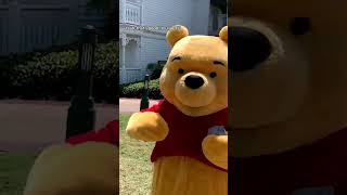 Cornhole &amp; Pooh: Meeting Winnie the Pooh in Disney World &amp; Playing Cornhole #Shorts #Disney #Pooh