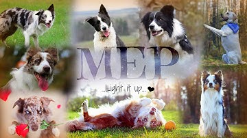 Light It UP ♡ [ FULL MEP]