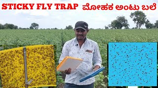 Sticky Fly Trap | Sticky Trap | Yellow Trap | ಮೋಹಕ ಅಂಟು ಬಲೆ | ಸಾವಯವ ಕೀಟ ನಾಶಕ |