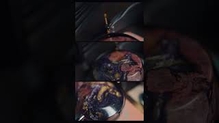 ZMF Atrium Closed Stabilized  #headphones #zmf #zmfatriumclosed