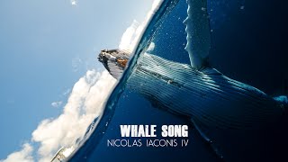 Whale Song | Emotive Chill Music with Whale Chants and Sounds