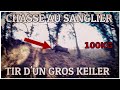 Chasse aux sangliers dans les pyrnes arigeoises   tir dun gros keiler de 100kg