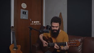 Video thumbnail of "O Pato - João Gilberto (Stefano Mota)"