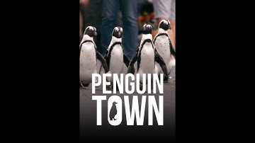 Город пингвинов / Penguin Town intro