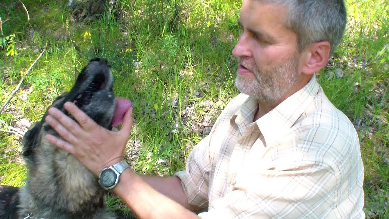 Farar Timkovic v pastoracii 21 Co sa deje po smrti psa a cloveka 2017