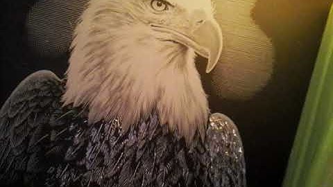 ScraperFoil silver Eagle.