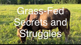 GrassFed Beef,  Secrets and Struggles