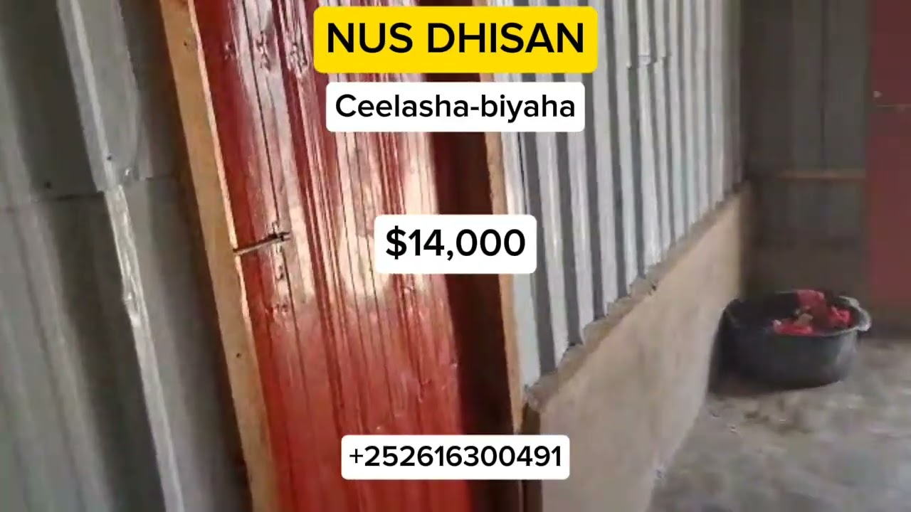 NUS DHISAN: CEELASHA-BIYAHA DOORAALE | Whatsapp +252616300491 |