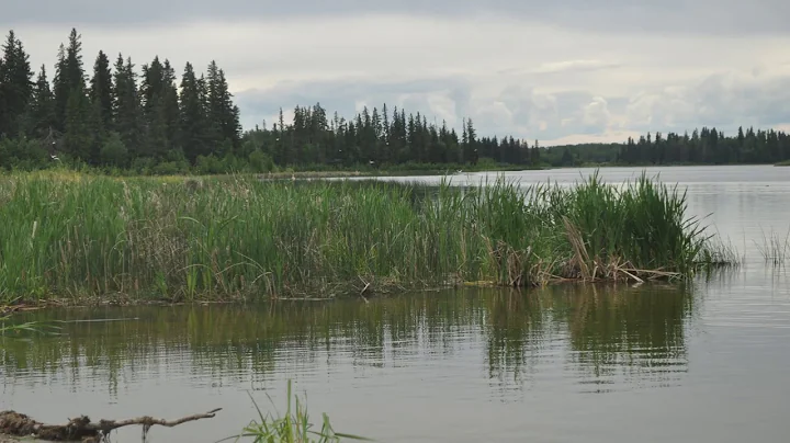 Elk Island National Park, Lamont, Alberta, Canada