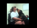 Jaus - A Rottweiler * A Service Dog Jaus - A Rottweiler * A Service Dog
