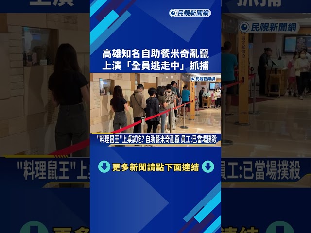 高雄知名自助餐米奇亂竄 上演"全員逃走中"抓捕－民視新聞