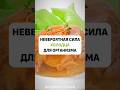 Что будет, если есть холодец каждый день #здоровье #правильноепитание #питание #холодец