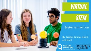 Virtual STEM: Systems in Action