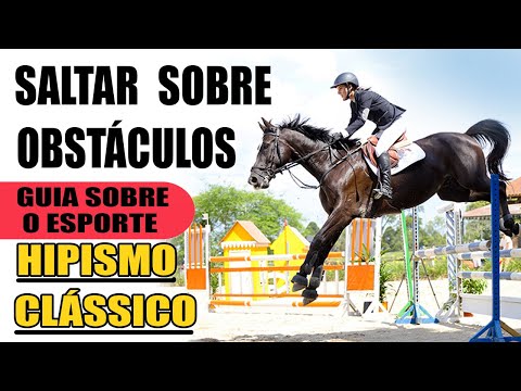 SALTAR SOBRE OBSTÁCULOS COM CAVALO - guia do esporte / hipismo