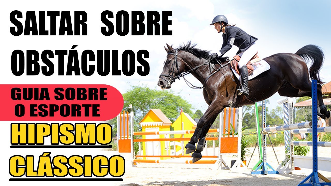 Jockey Com Seu Cavalo Pulando Sobre Um Obstáculo Imagem de Stock