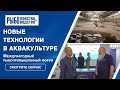 Новые технологии в оборудовании и кормах для аквакультуры на выставке рыбной индустрии 2021