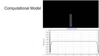 Physics 2212 Lab 5