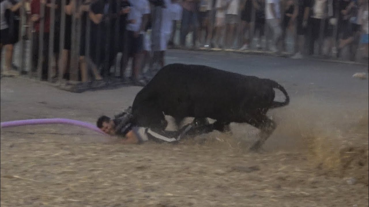 QUISSAC FERIA 2025 ENCIERRO - LONGUE - GAZE - ABRIVADO BANDIDO PARCOURS OUVERT